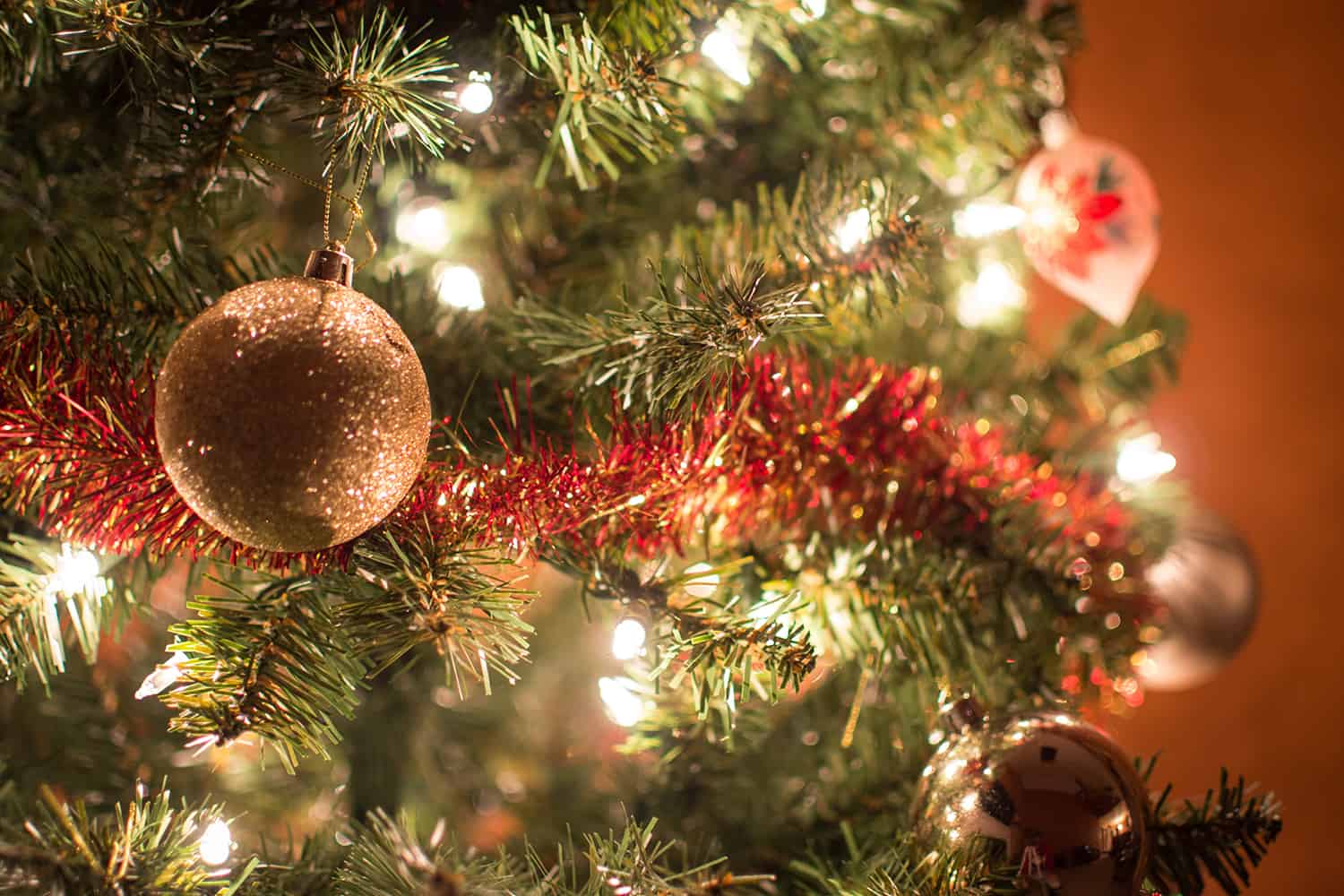 Christmas Tree Facts-Real vs Artificial * Big Blog of Gardening