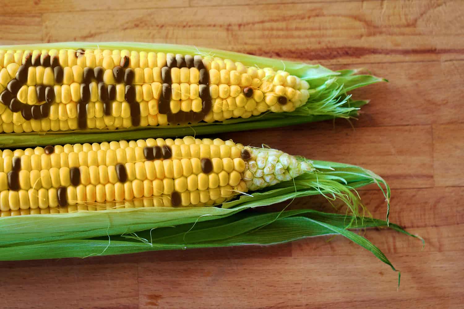 Is Fresh Corn Gmo