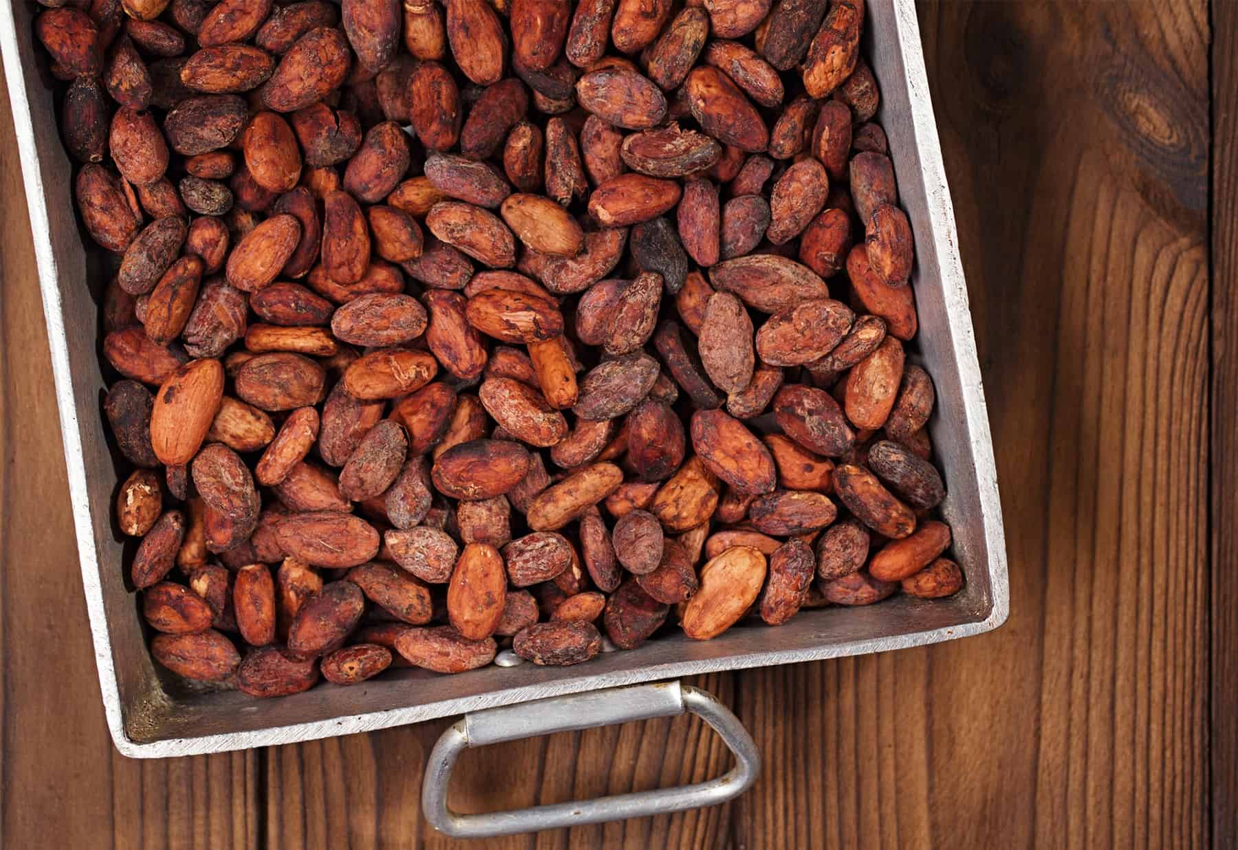 How to Make Chocolate at Home from Cacao Beans or Bicolor Beans * Big